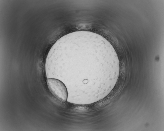 X0000116680659201001251301