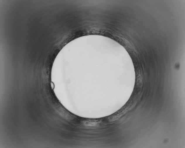 X0000116680661201001251301