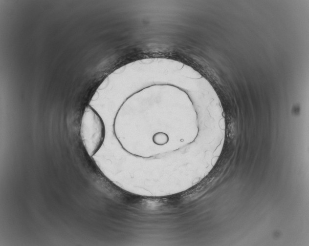 X0000116680662201001251301