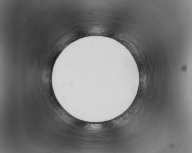 X0000116680665201001251301