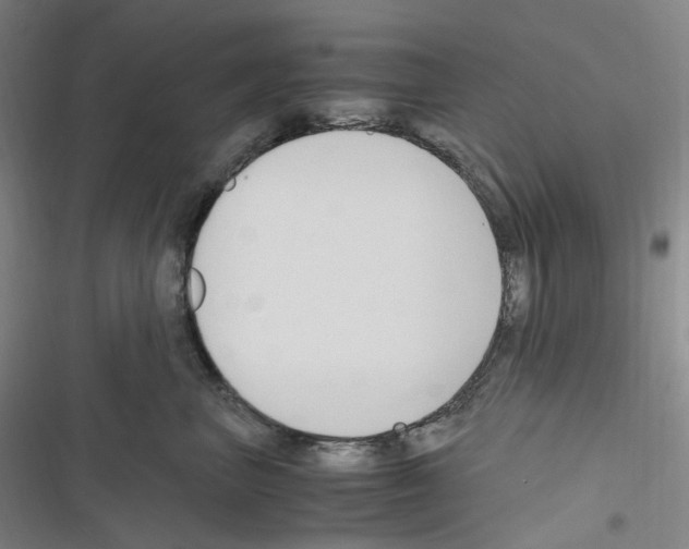 X0000116680667201001251301