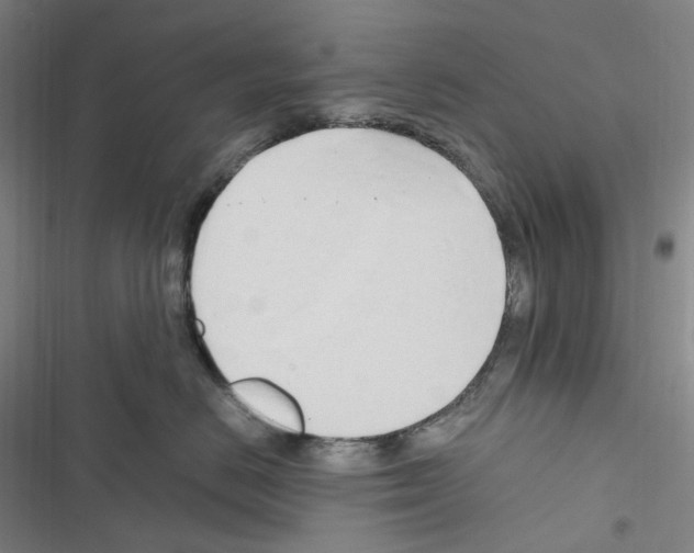 X0000116680670201001251301