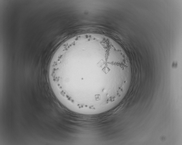 X0000116680672201001251301