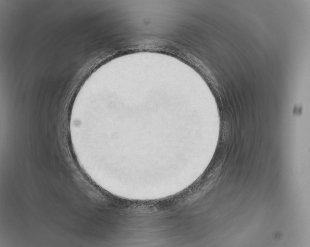 X0000116680673201001251300