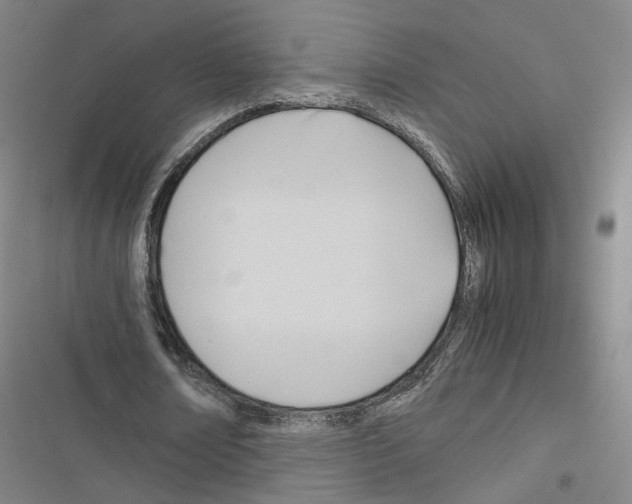 X0000116680674201001251300