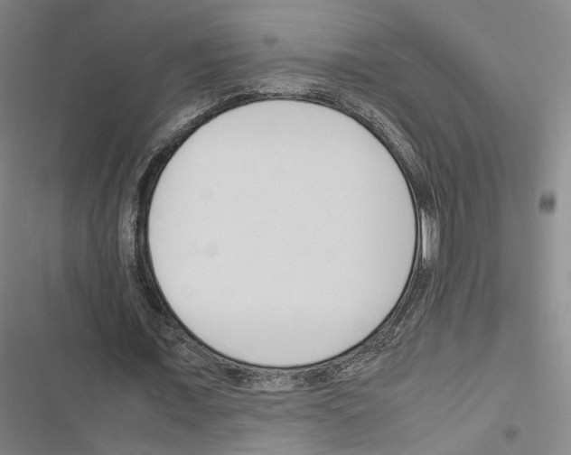 X0000116680675201001251300