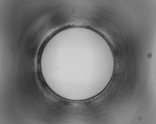 X0000116680678201001251300