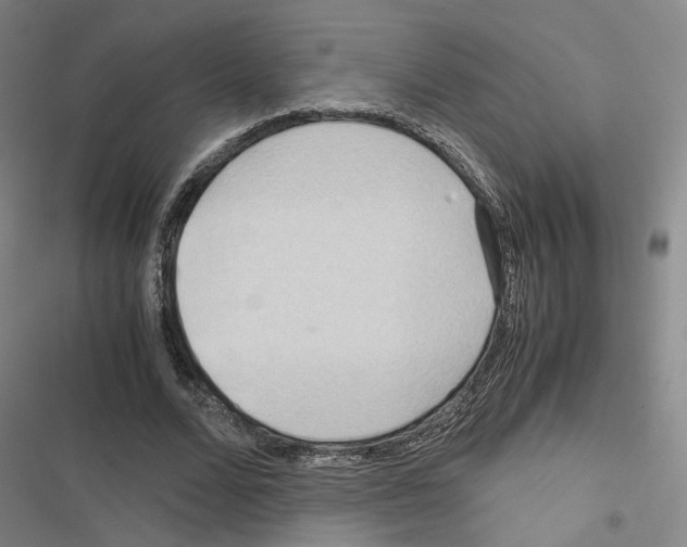 X0000116680680201001251300