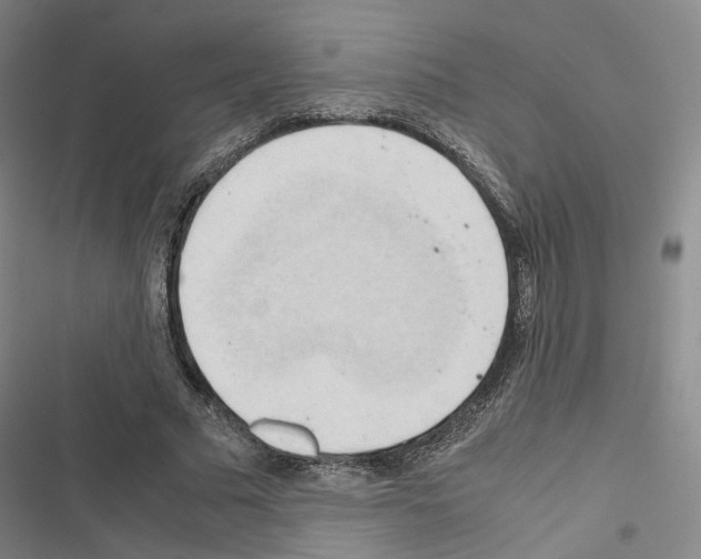 X0000116680681201001251300