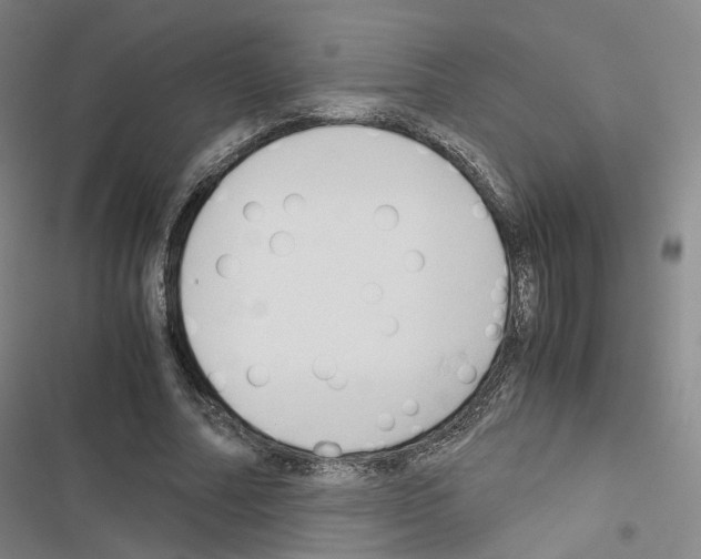 X0000116680682201001251300