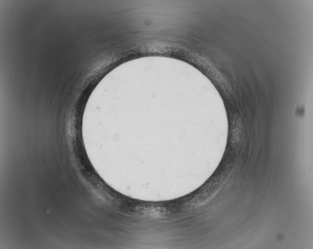 X0000116680683201001251300