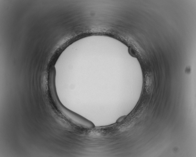 X0000116680684201001251300