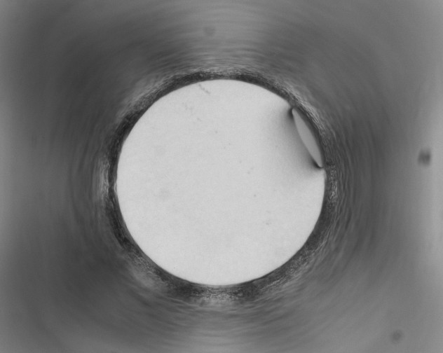 X0000116680685201001251300