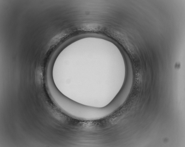 X0000116680688201001251300