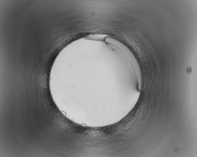 X0000116680689201001251300