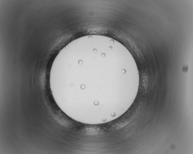 X0000116680690201001251300