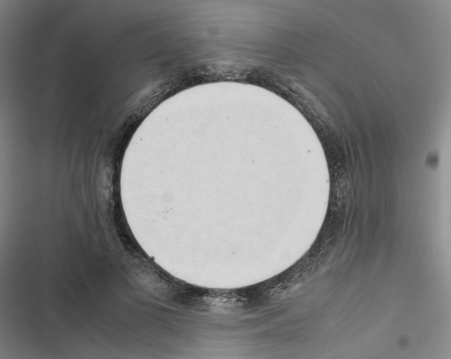 X0000116680693201001251300