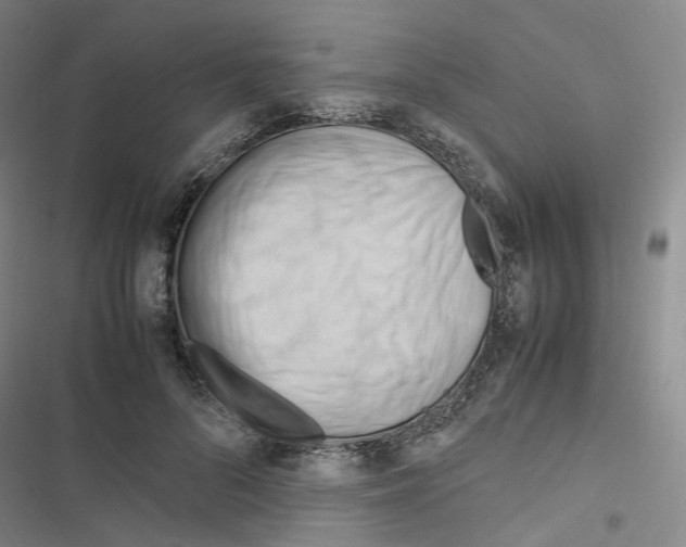 X0000116680696201001251300