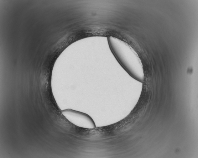 X0000116680697201001251300