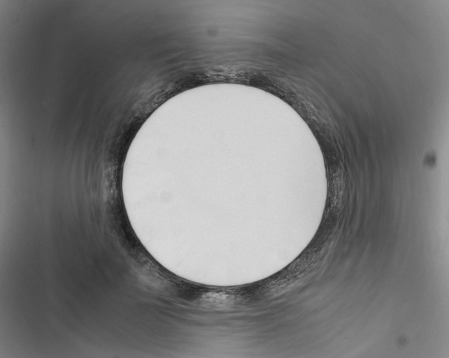 X0000116680699201001251300