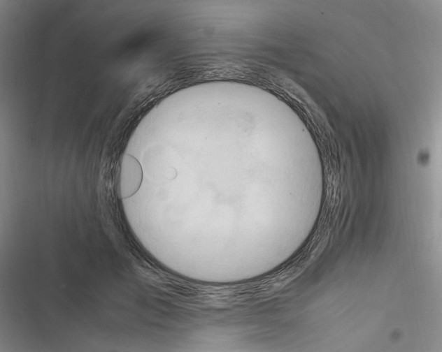 X0000116680701201001251300