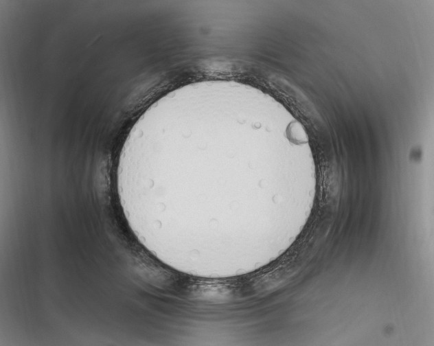 X0000116680702201001251300