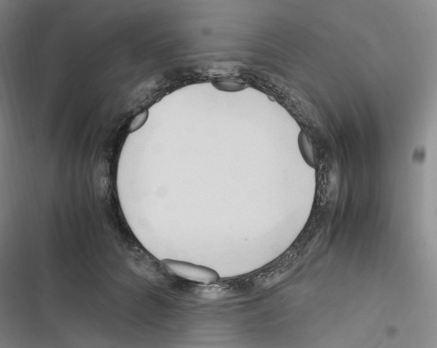 X0000116680704201001251300