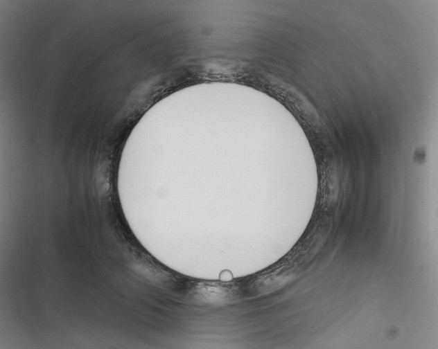 X0000116680706201001251300