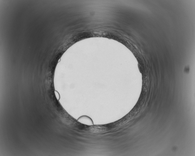 X0000116680707201001251300