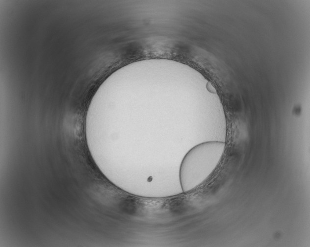 X0000116680709201001251300