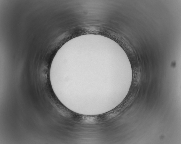 X0000116680710201001251300