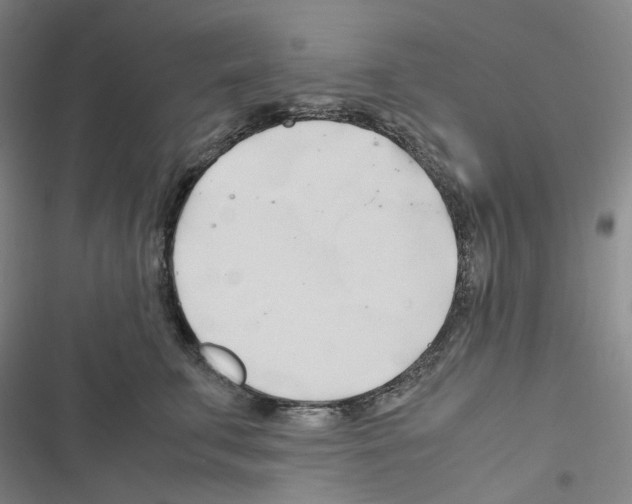 X0000116680711201001251300