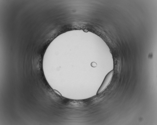 X0000116680712201001251300