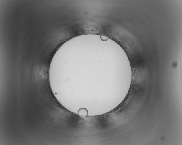 X0000116680713201001251300