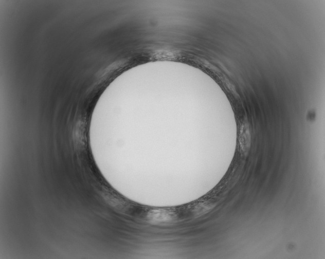 X0000116680714201001251300