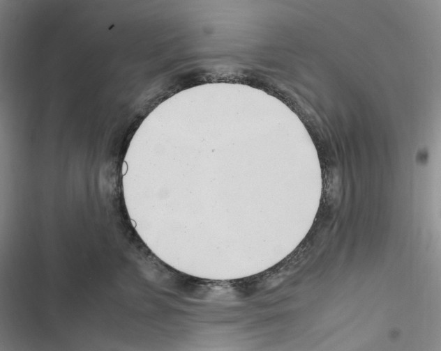 X0000116680715201001251300