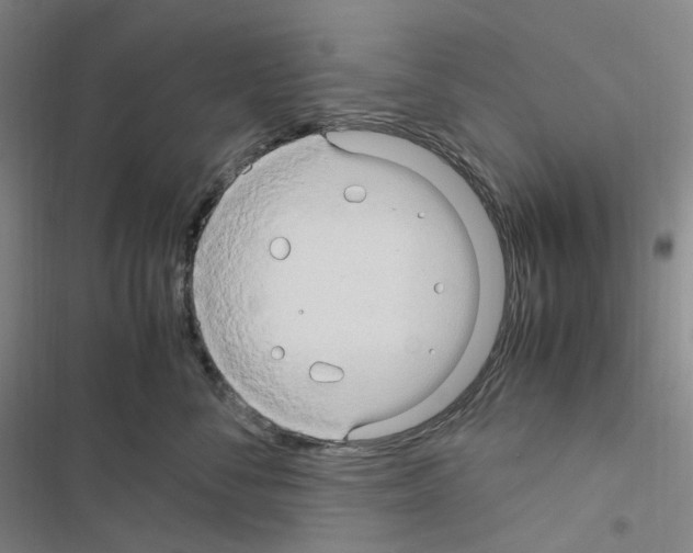 X0000116680716201001251300