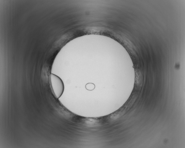 X0000116680718201001251300