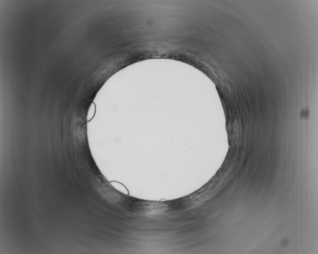 X0000116680719201001251300