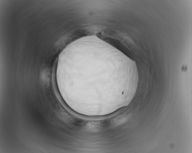 X0000116680720201001251300