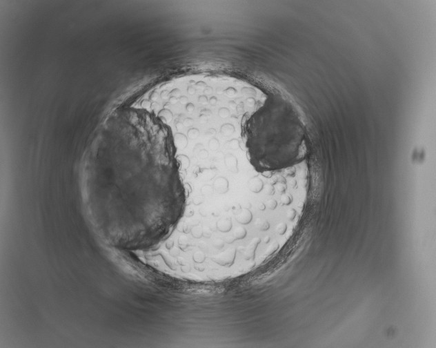 X0000116680721201001251259