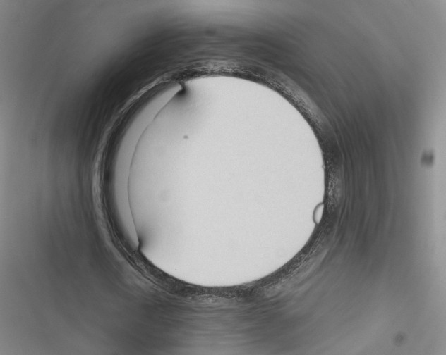 X0000116680722201001251259