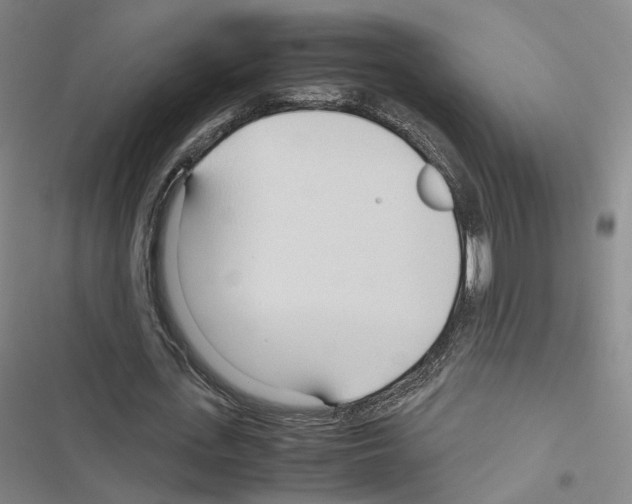 X0000116680723201001251259