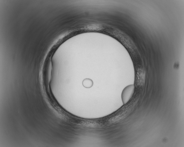 X0000116680726201001251259