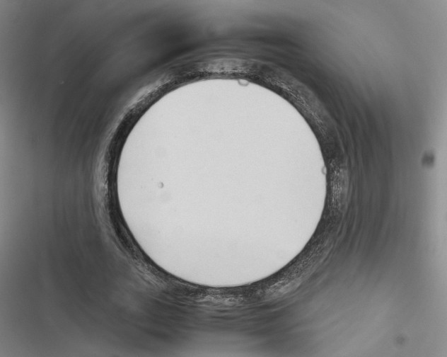 X0000116680727201001251259