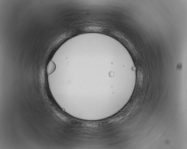 X0000116680729201001251259