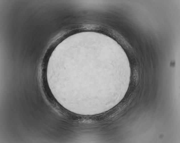 X0000116680730201001251259