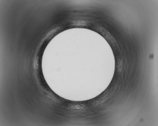 X0000116680731201001251259