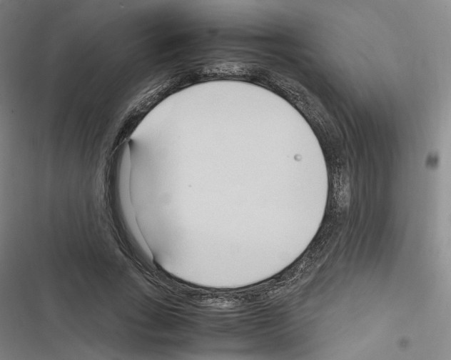 X0000116680735201001251259