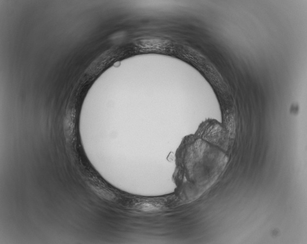 X0000116680737201001251259